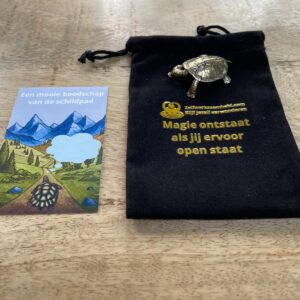 0). Messing Schildpad - Prachtig kado - Zaai een zaadje