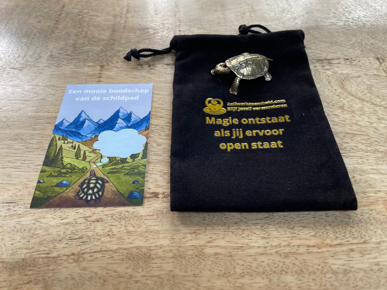 0). Messing Schildpad - Prachtig kado - Zaai een zaadje